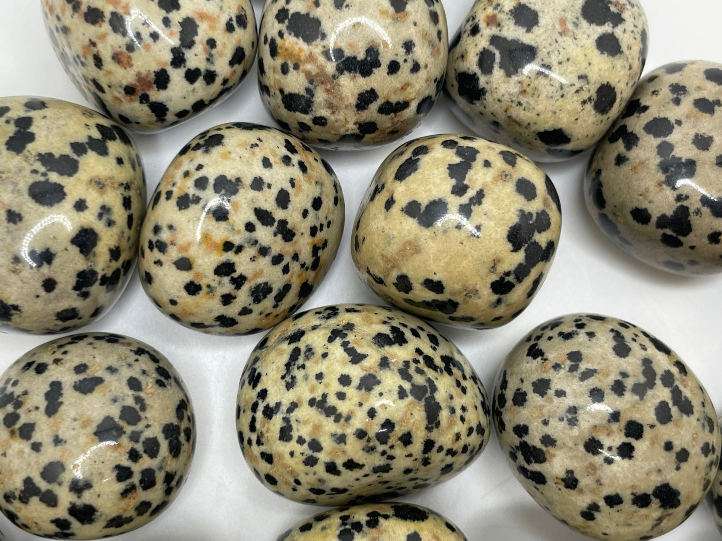 Dalmation Jasper Tumble || Dalmation Jasper Stone || Dalmation Jasper Tumbled Stone