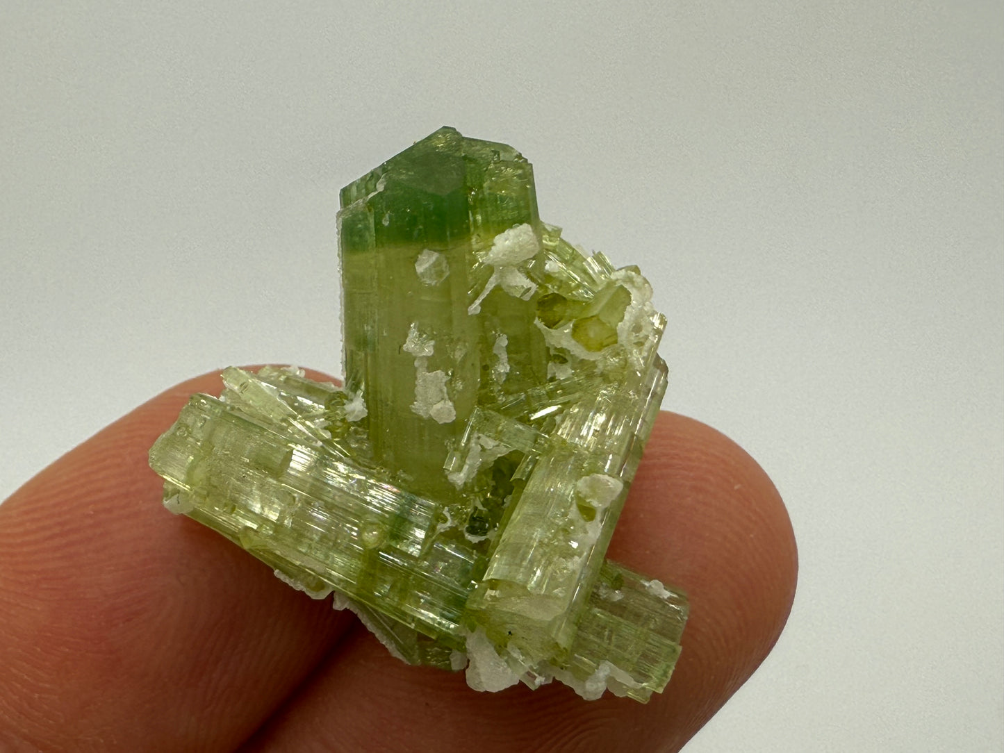Pistachio Tourmaline || Elbaite Tourmaline || Green Tourmaline with Cleavelandite || Bicolor Green Tourmaline || #78