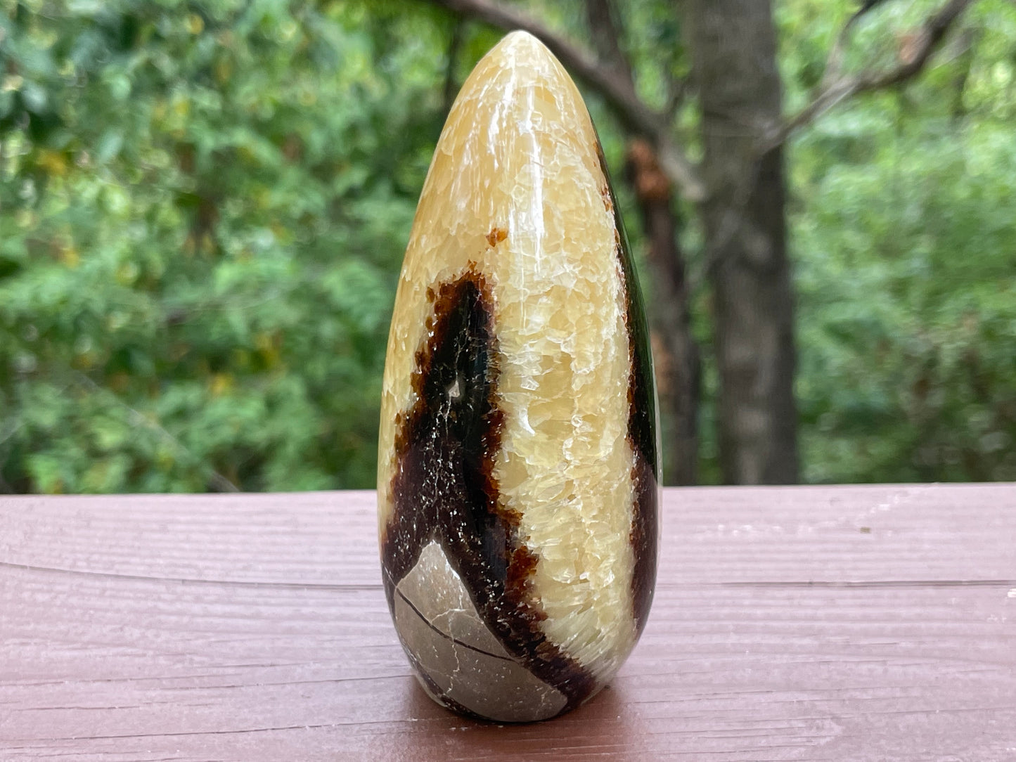 Septarian Free Form || Polished Septarian