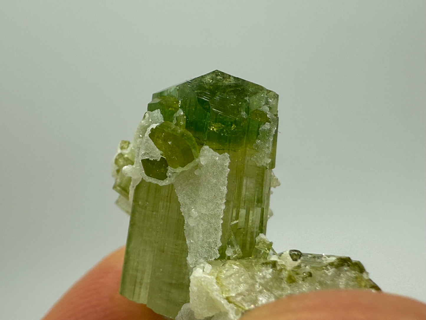 Pistachio Tourmaline || Elbaite Tourmaline || Green Tourmaline with Cleavelandite || Bicolor Green Tourmaline || #78