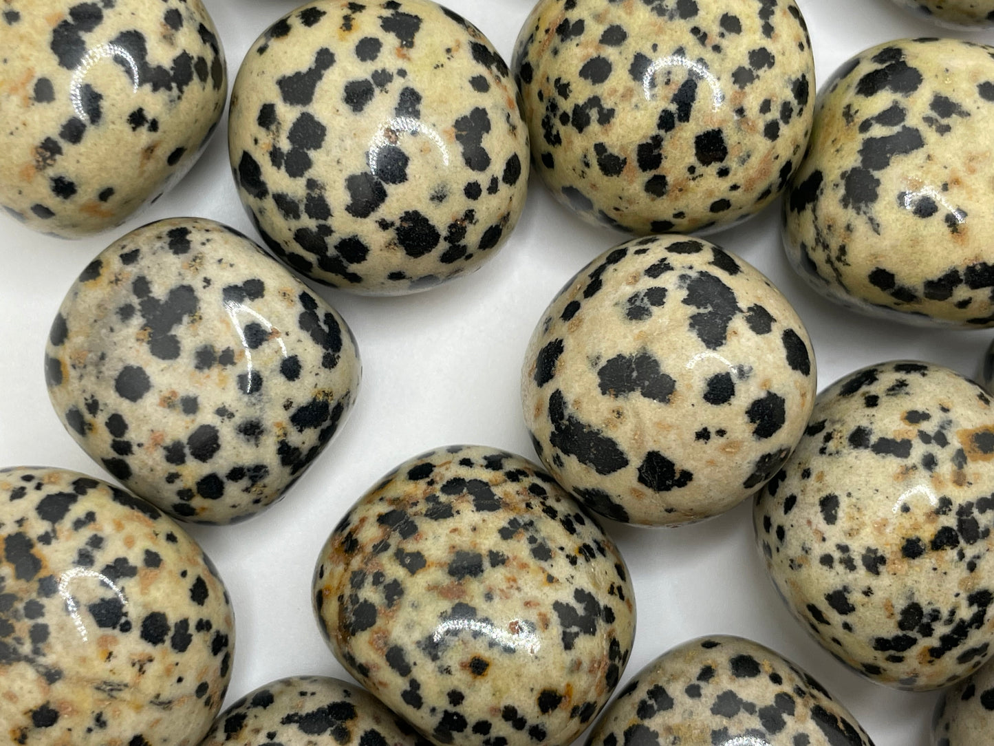 Dalmation Jasper Tumble || Dalmation Jasper Stone || Dalmation Jasper Tumbled Stone