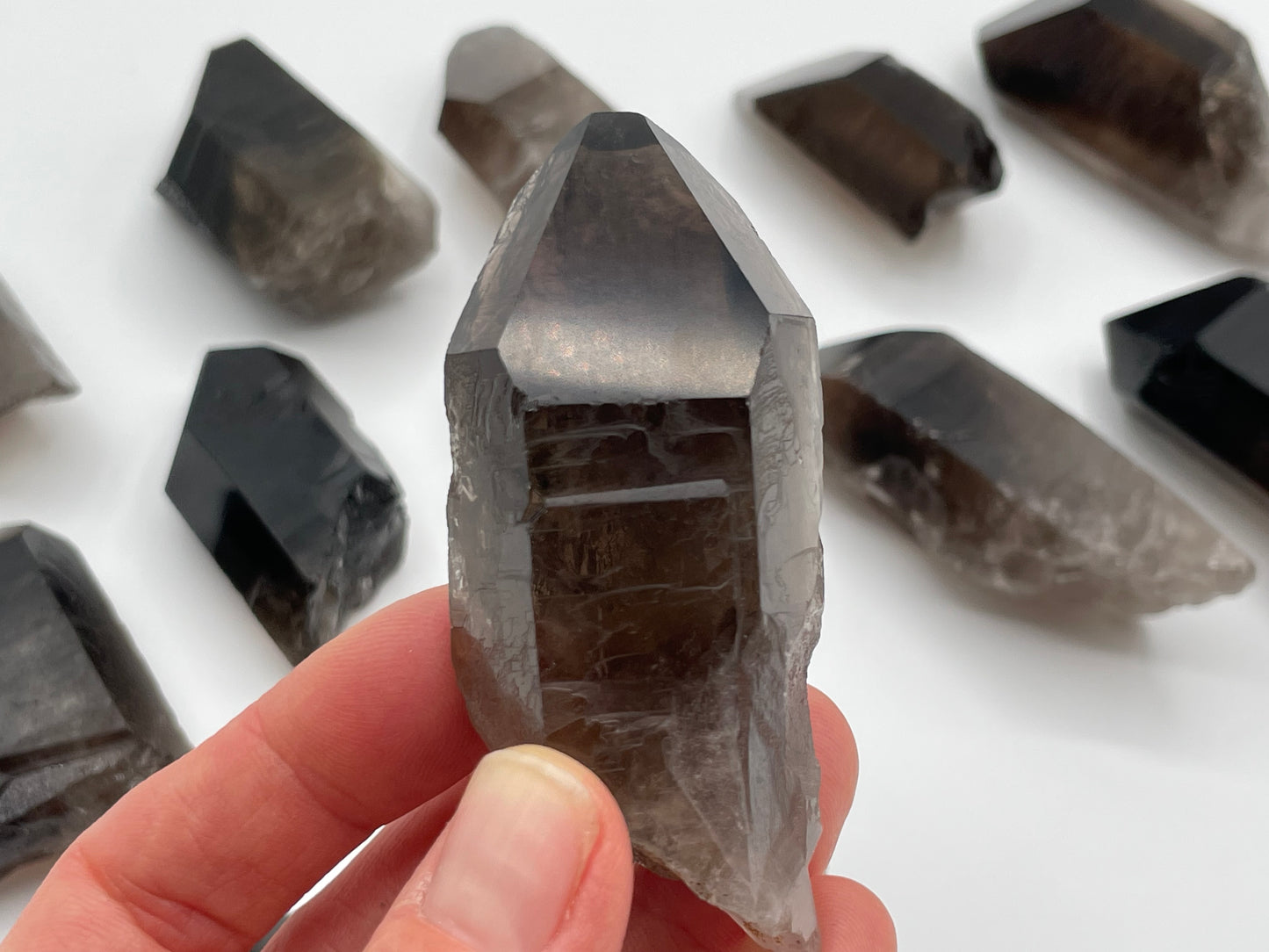 Raw Smoky Quartz Point || Polished Tip Smoky Quartz Wholesale Lot || Smoky Quartz Points Bulk Lot #3