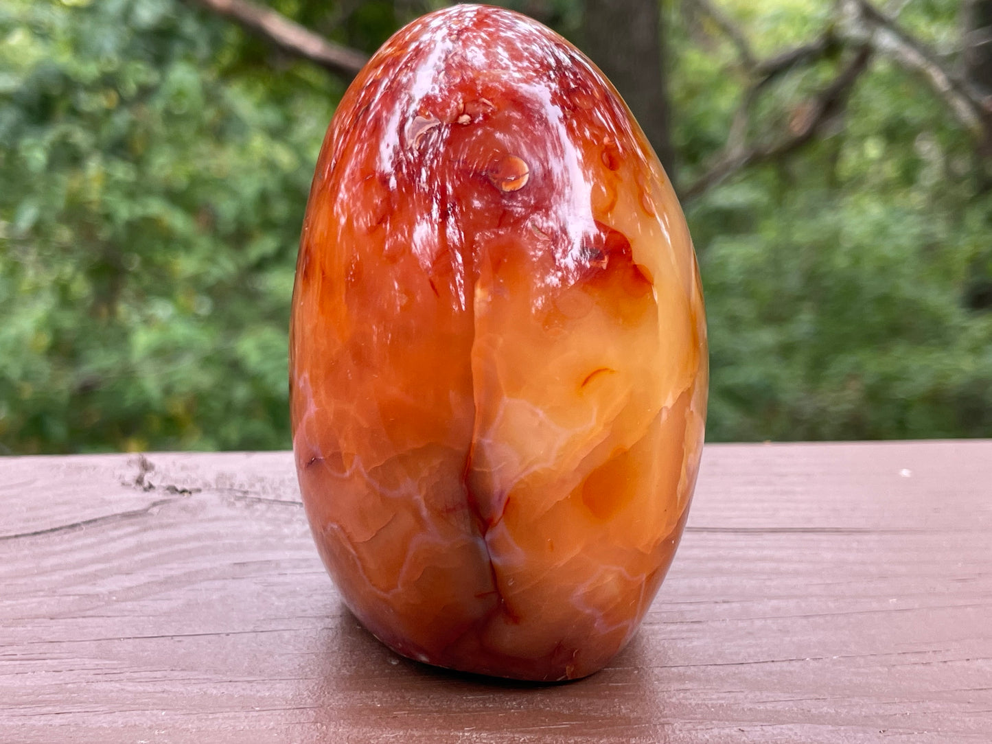 Carnelian Free Form || Polished Carnelian