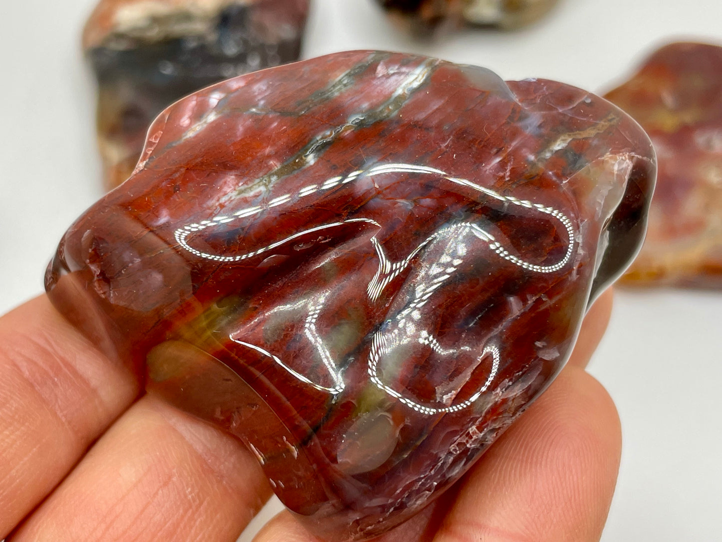 Petrified Wood Tumble || Arizona Petrified Wood || Polished Petrified Wood