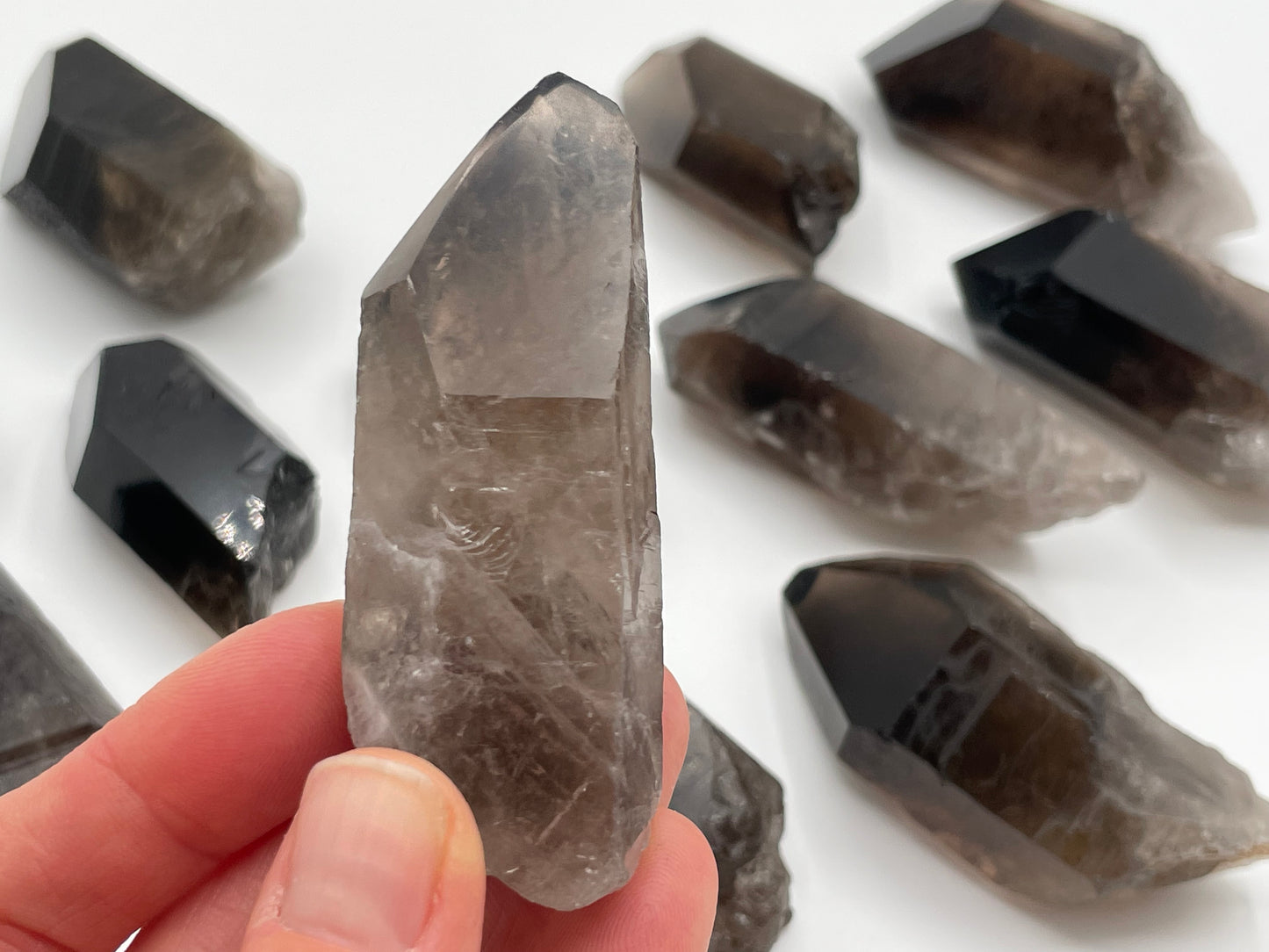 Raw Smoky Quartz Point || Polished Tip Smoky Quartz Wholesale Lot || Smoky Quartz Points Bulk Lot #3