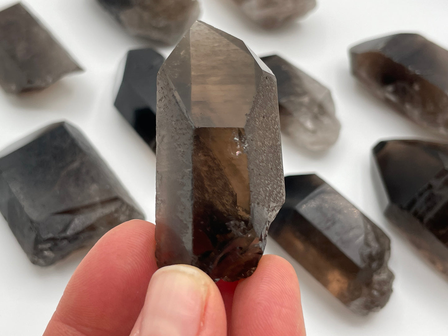 Raw Smoky Quartz Point || Polished Tip Smoky Quartz Wholesale Lot || Smoky Quartz Points Bulk Lot #3