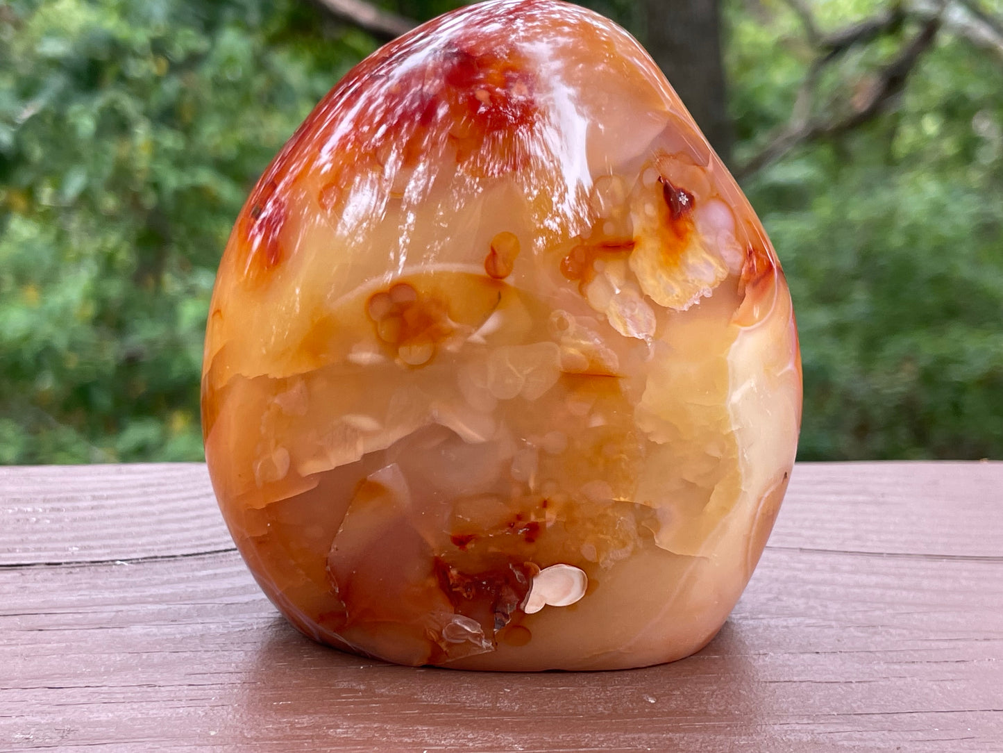 Carnelian Free Form || Polished Carnelian