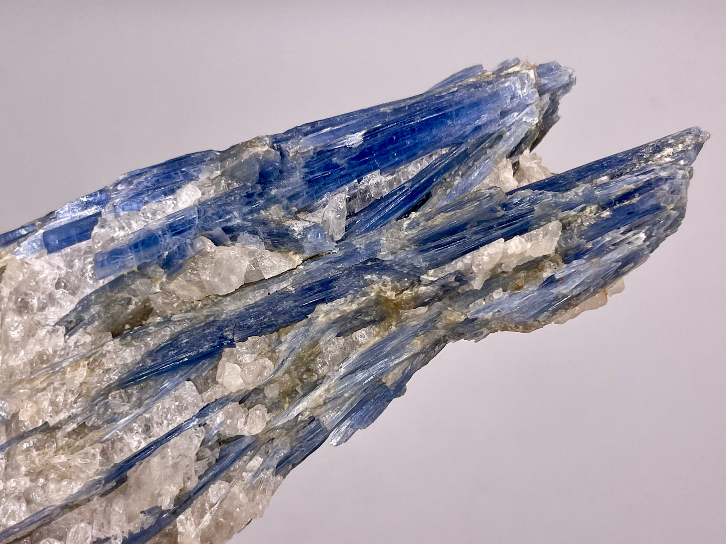 Kyanite in Quartz Cluster || Raw Kyanite || Kyanite Specimen || #60