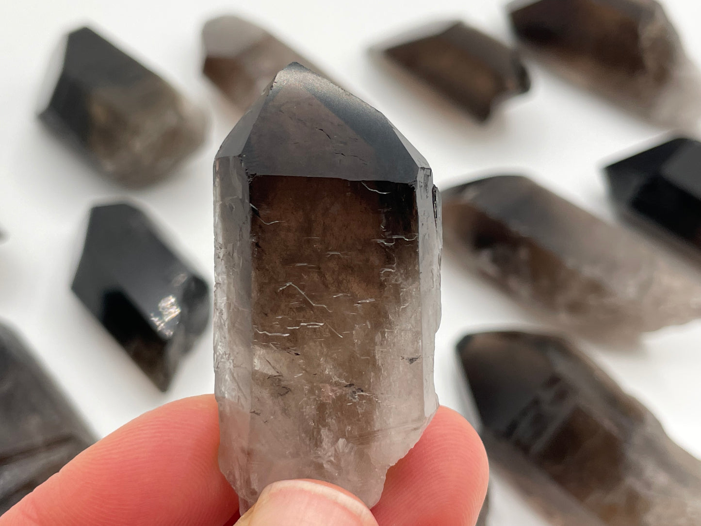 Raw Smoky Quartz Point || Polished Tip Smoky Quartz Wholesale Lot || Smoky Quartz Points Bulk Lot #3