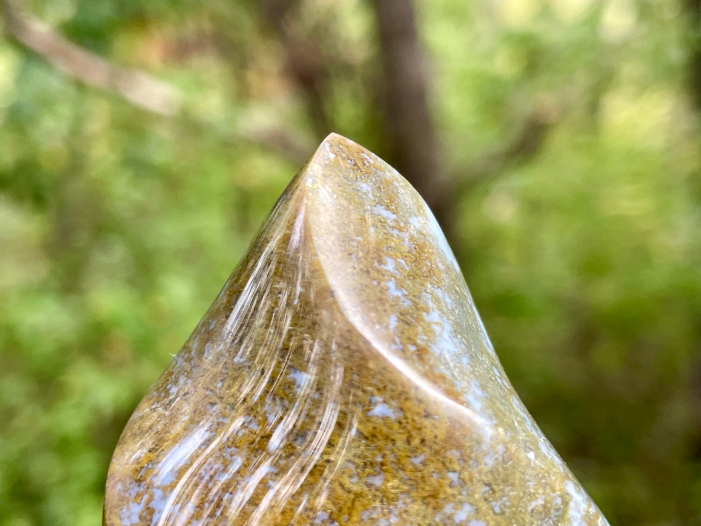 Ocean Jasper Flame || Polished Ocean Jasper || Ocean Jasper Free Form