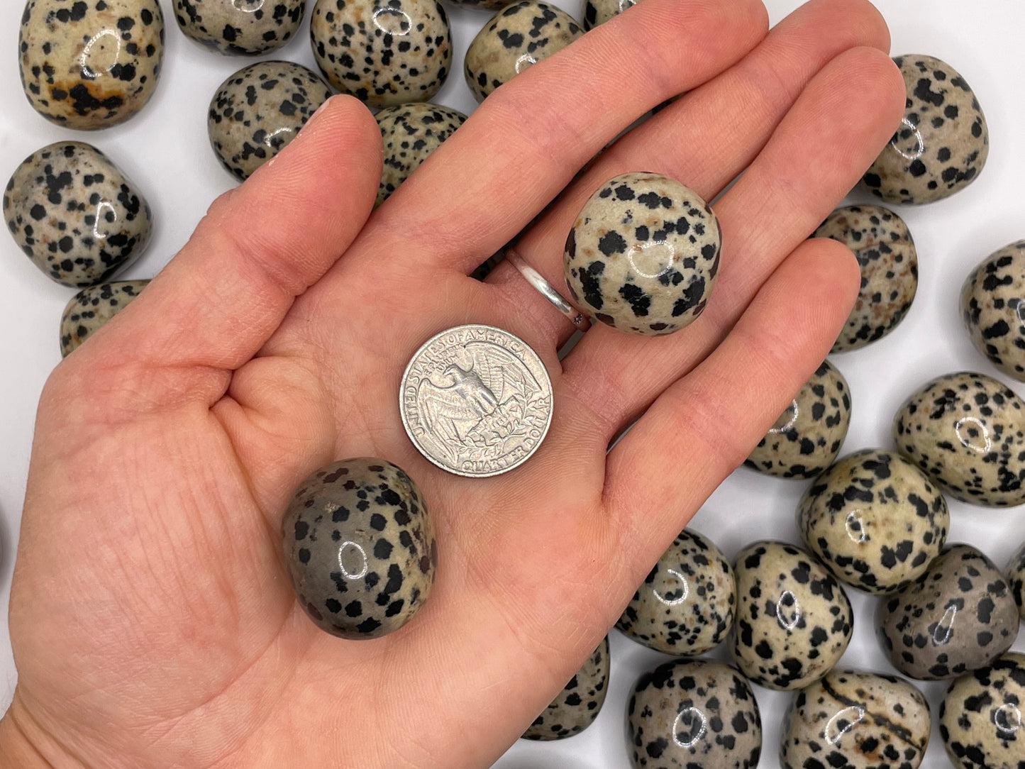 Dalmation Jasper Tumble || Dalmation Jasper Stone || Dalmation Jasper Tumbled Stone