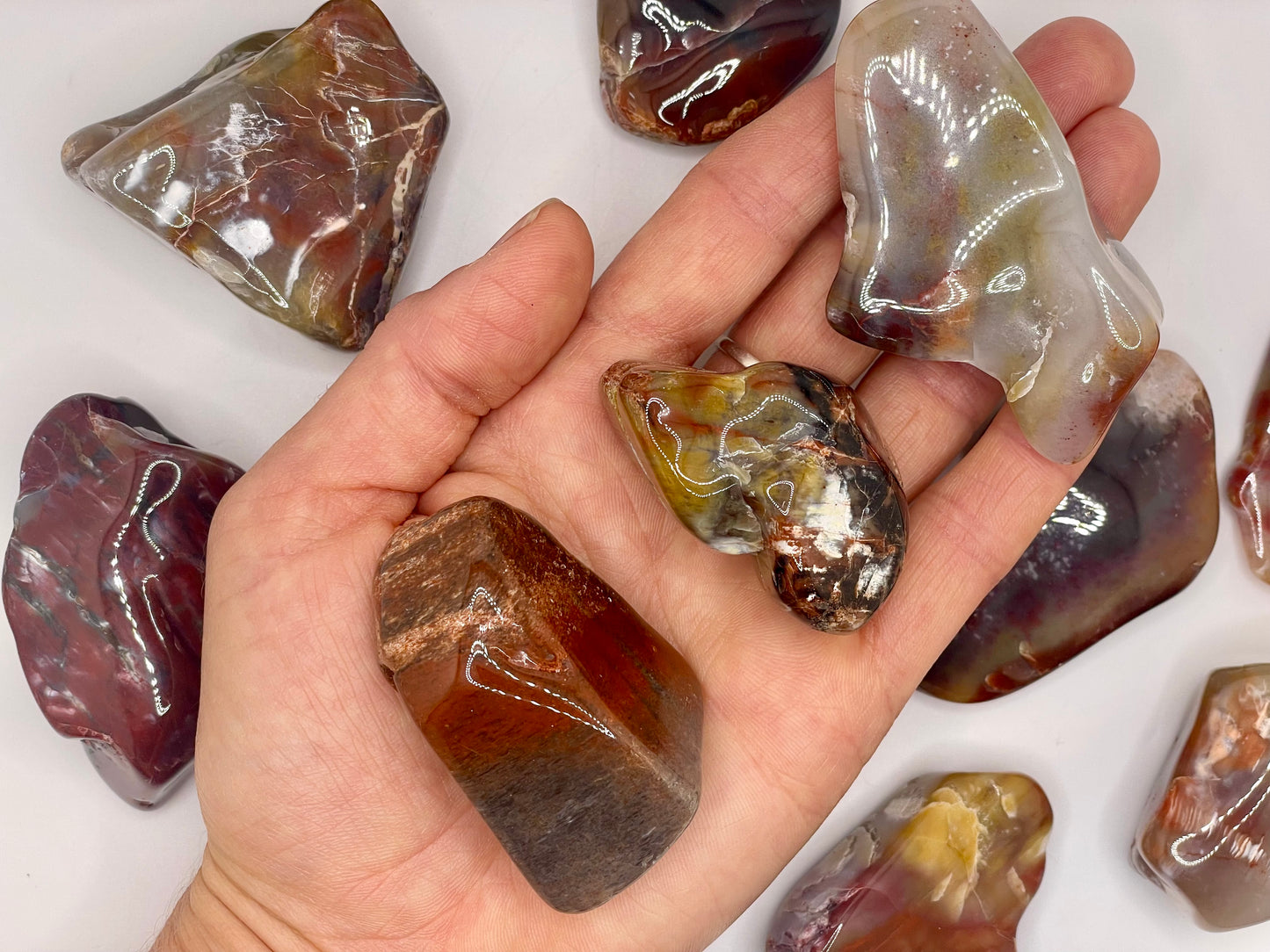 Petrified Wood Tumble || Arizona Petrified Wood || Polished Petrified Wood