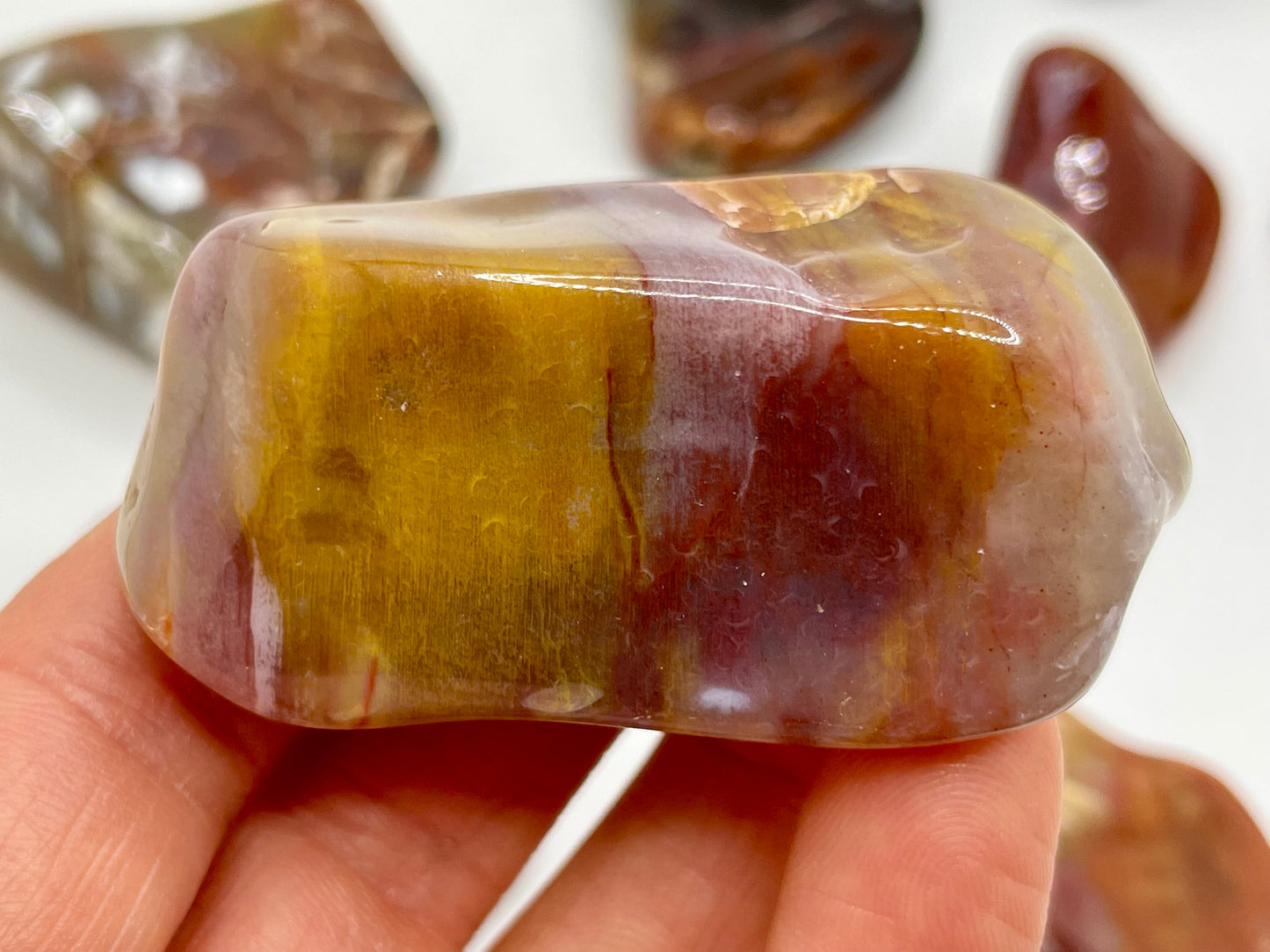 Petrified Wood Tumble || Arizona Petrified Wood || Polished Petrified Wood