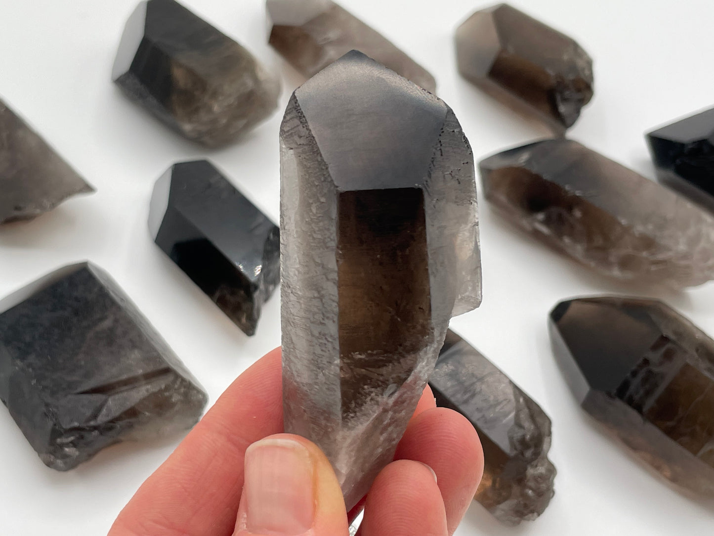 Raw Smoky Quartz Point || Polished Tip Smoky Quartz Wholesale Lot || Smoky Quartz Points Bulk Lot #3