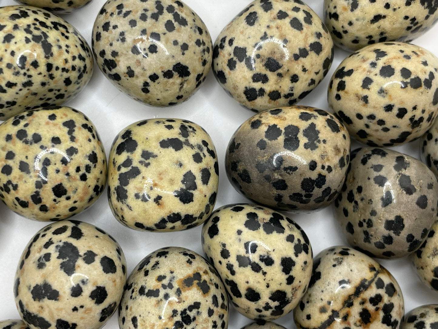 Dalmation Jasper Tumble || Dalmation Jasper Stone || Dalmation Jasper Tumbled Stone