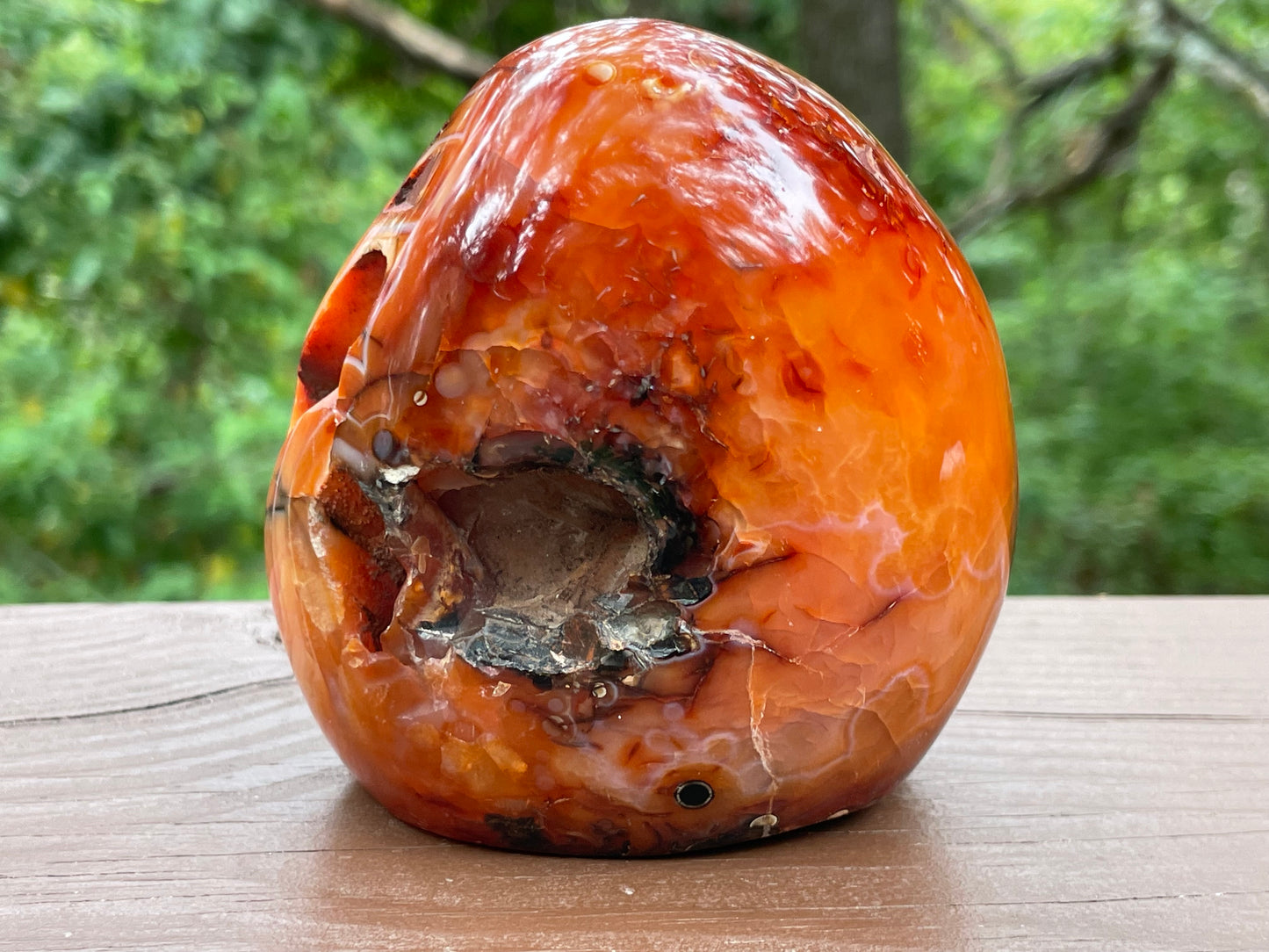 Carnelian Free Form || Polished Carnelian