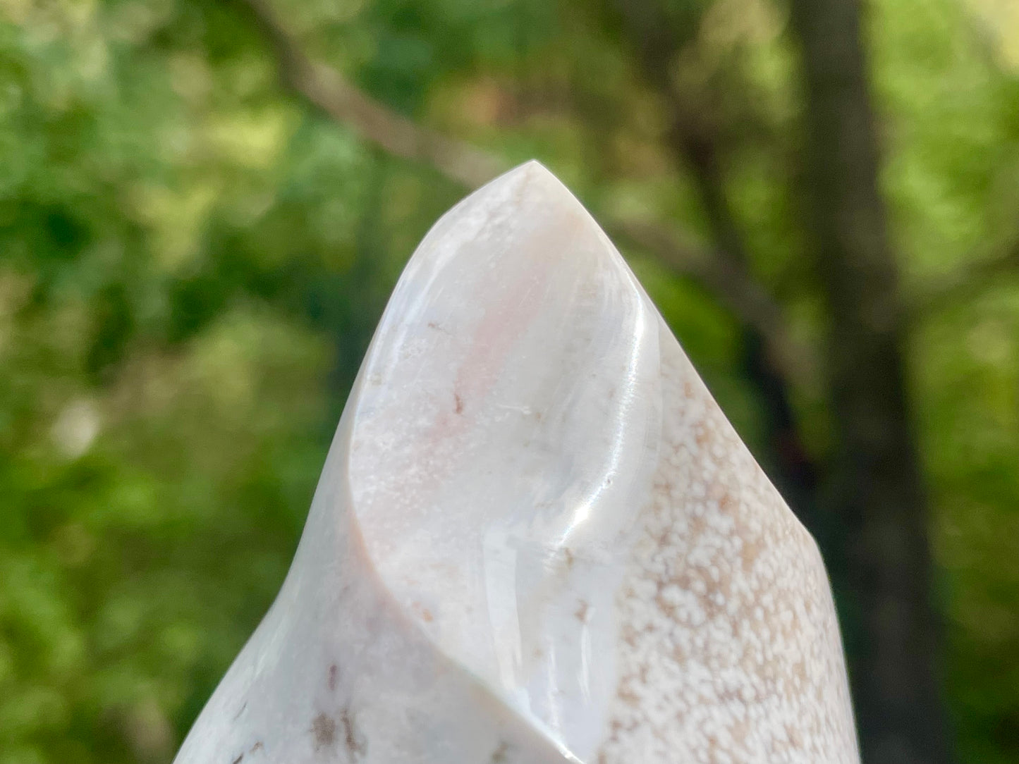 Ocean Jasper Flame || Polished Ocean Jasper || Ocean Jasper Free Form
