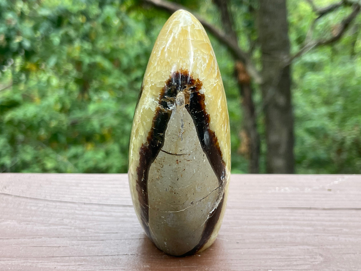 Septarian Free Form || Polished Septarian