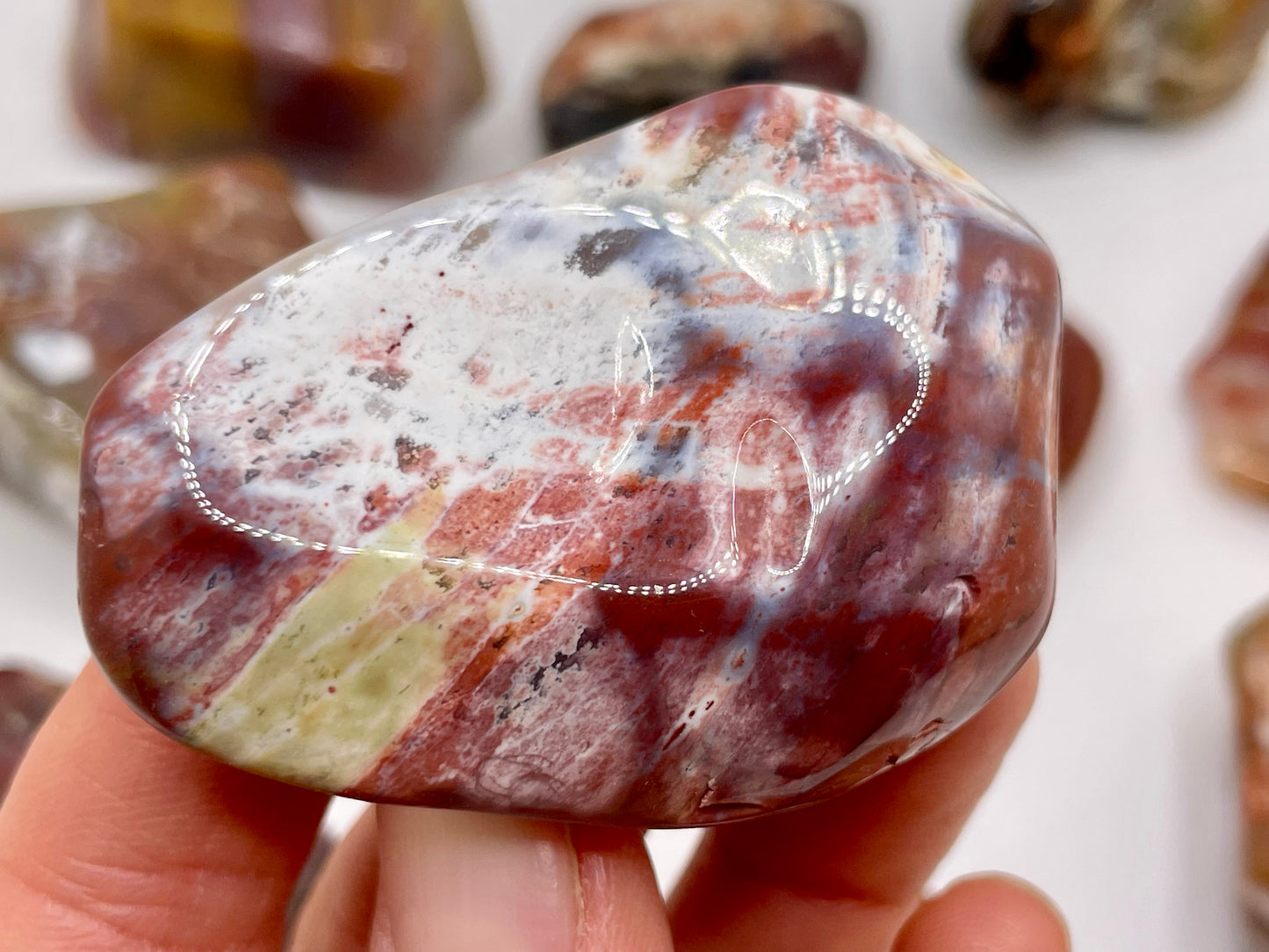 Petrified Wood Tumble || Arizona Petrified Wood || Polished Petrified Wood