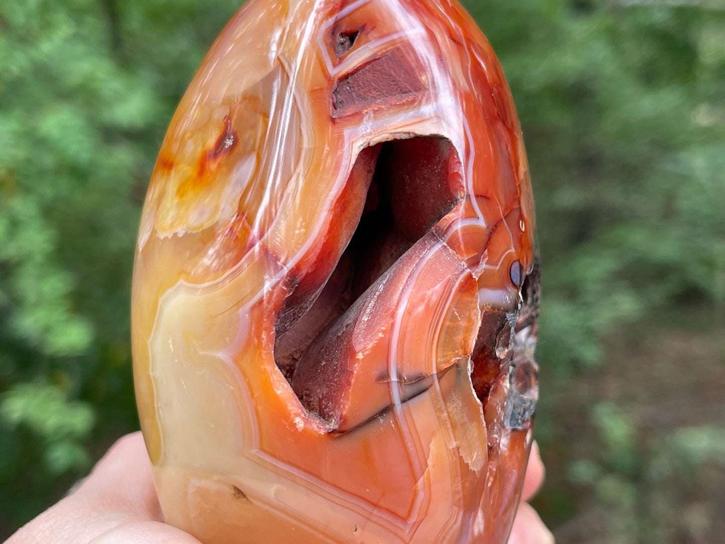 Carnelian Free Form || Polished Carnelian