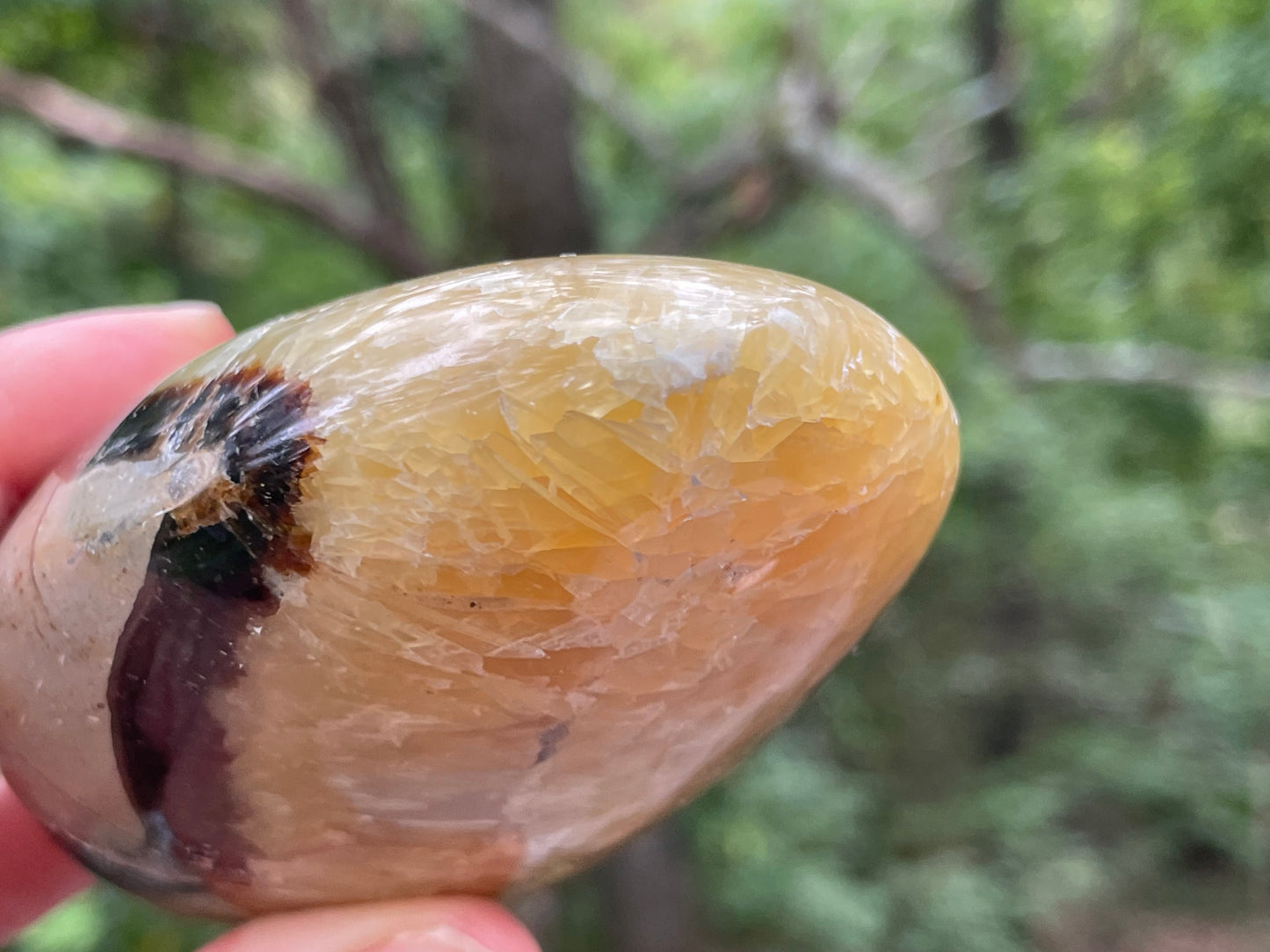 Septarian Free Form || Polished Septarian
