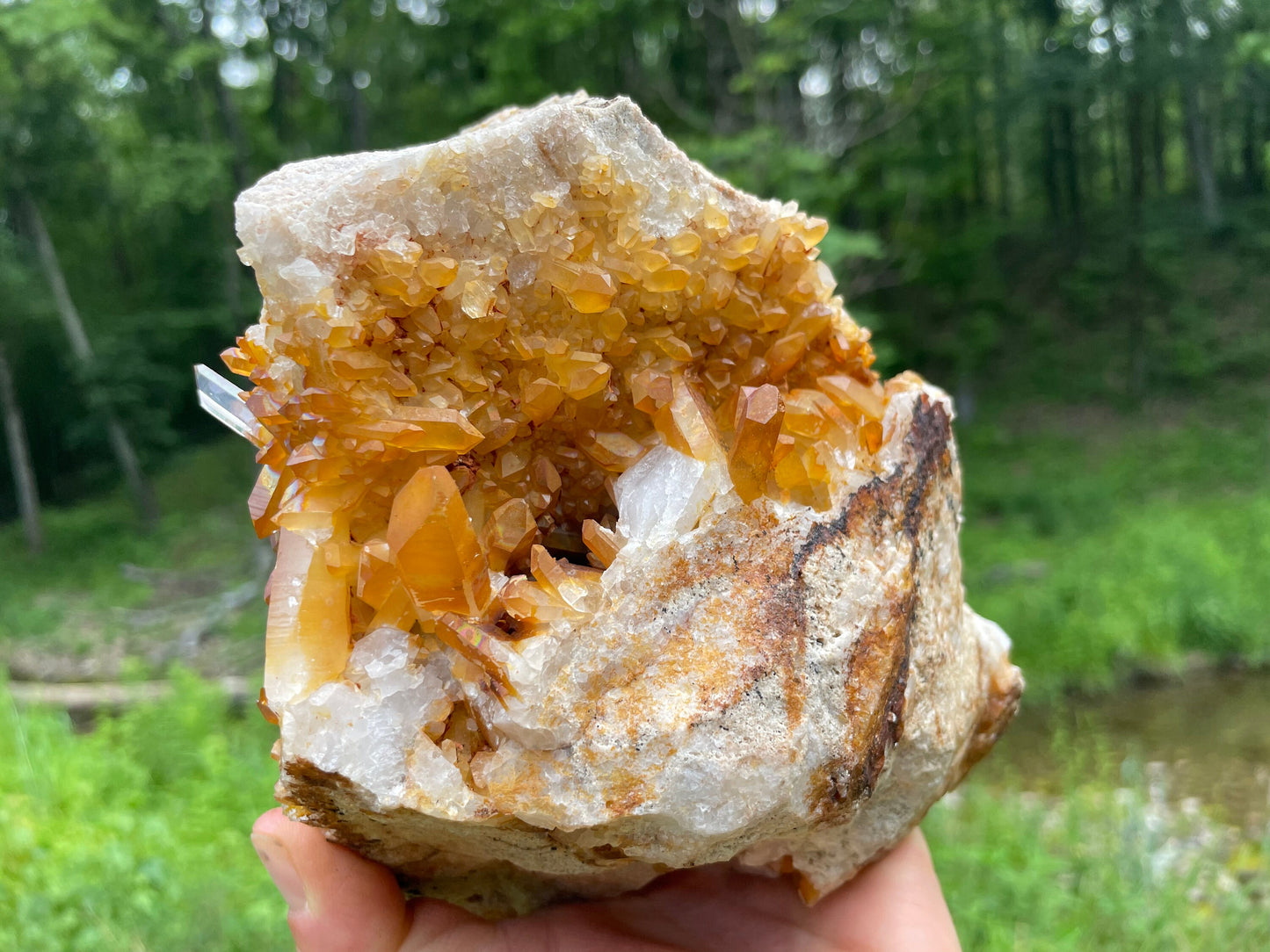Golden Healer Quartz Crystal Cluster || Raw Quartz Cluster || Lemurian Quartz Cluster