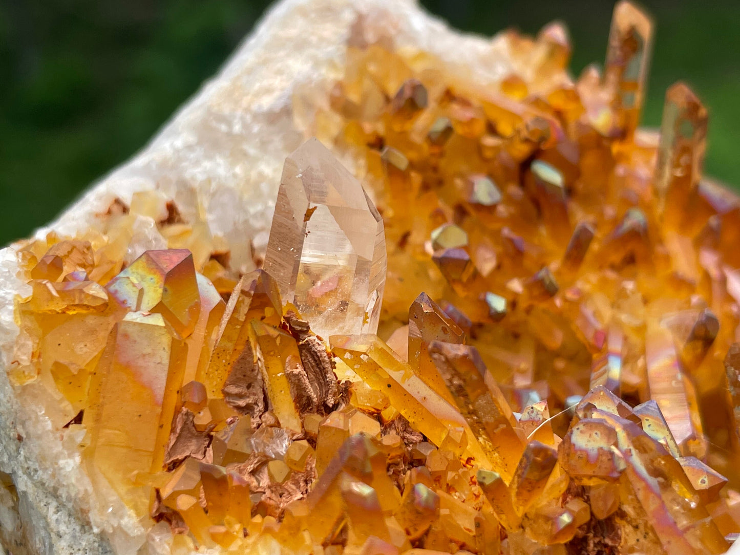 Golden Healer Quartz Crystal Cluster || Raw Quartz Cluster || Lemurian Quartz Cluster
