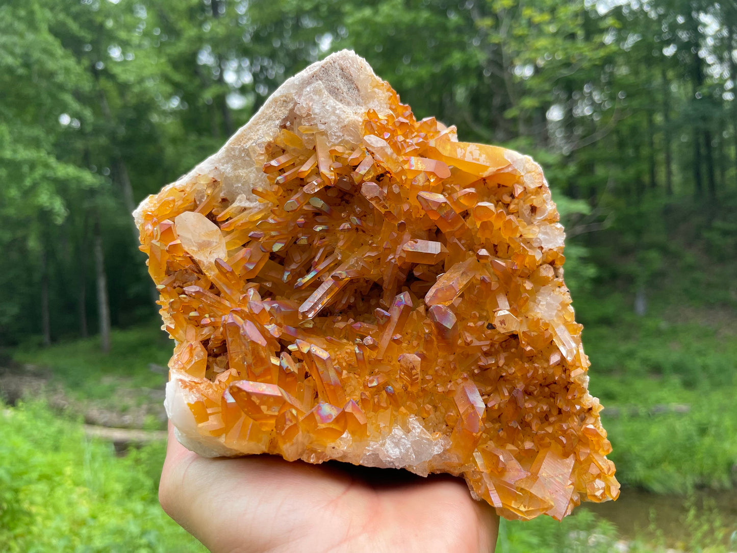 Golden Healer Quartz Crystal Cluster || Raw Quartz Cluster || Lemurian Quartz Cluster