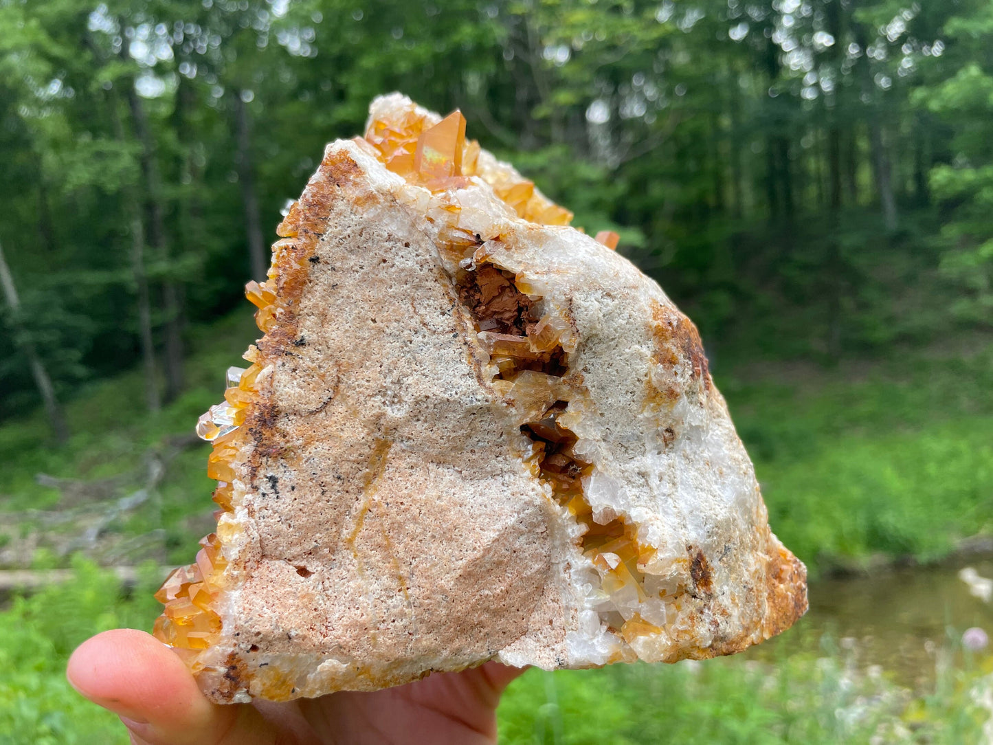 Golden Healer Quartz Crystal Cluster || Raw Quartz Cluster || Lemurian Quartz Cluster