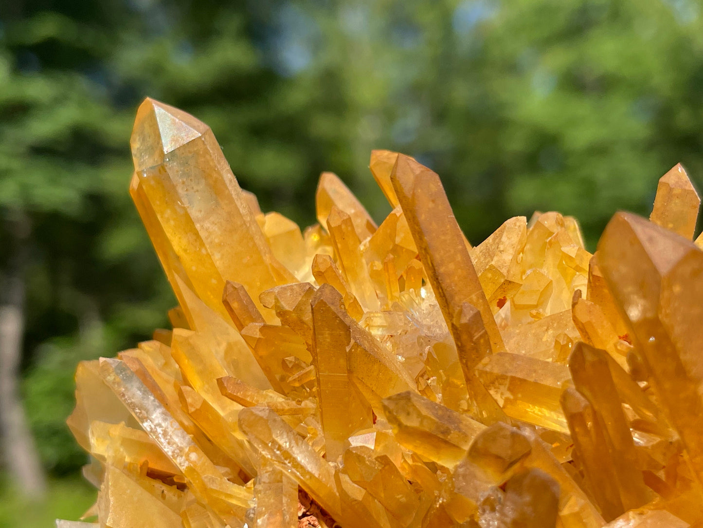 Golden Healer Quartz Crystal || Raw Quartz Cluster || Lemurian Quartz Cluster