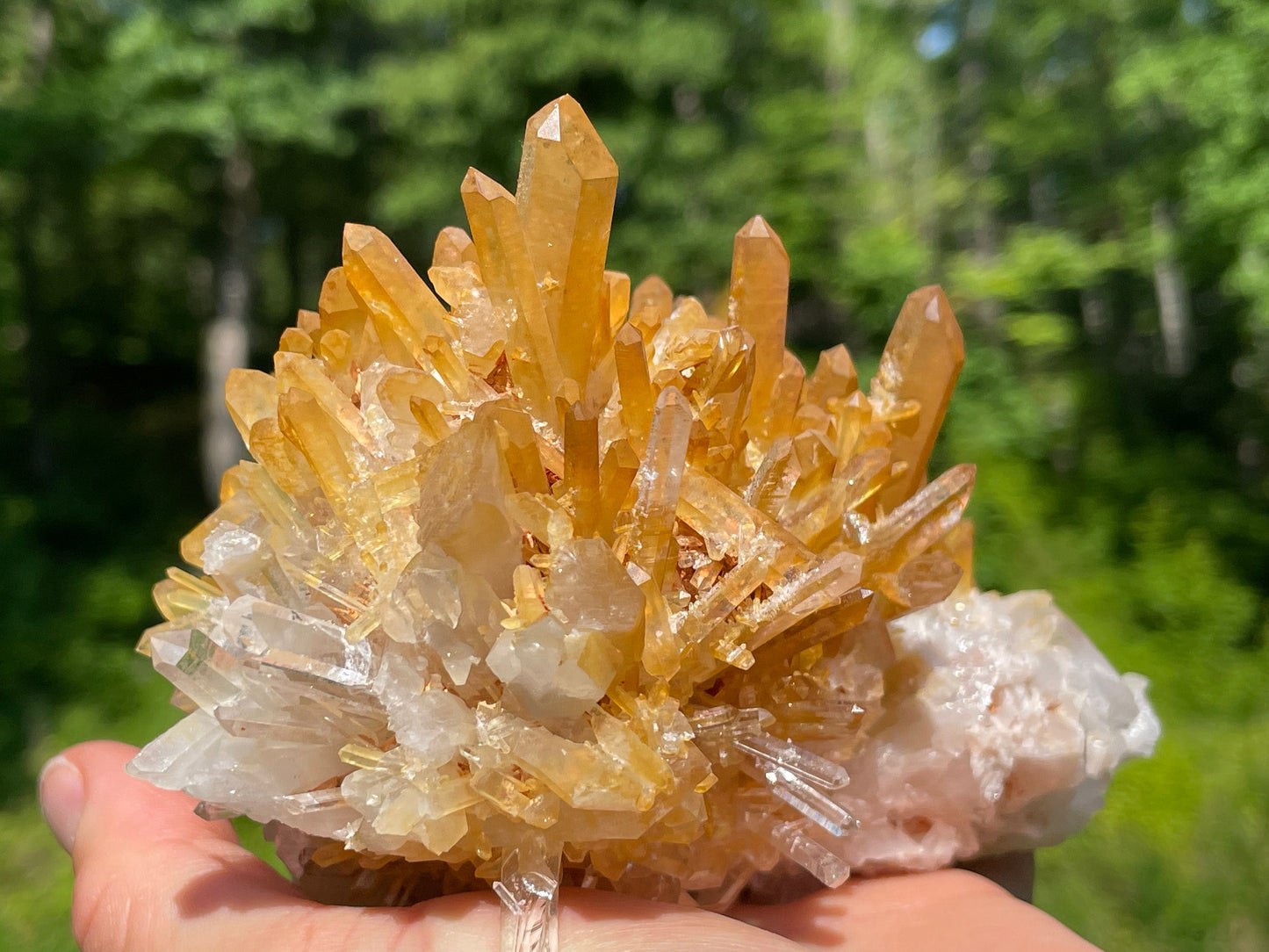 Golden Healer Quartz Crystal || Raw Quartz Cluster || Lemurian Quartz Cluster