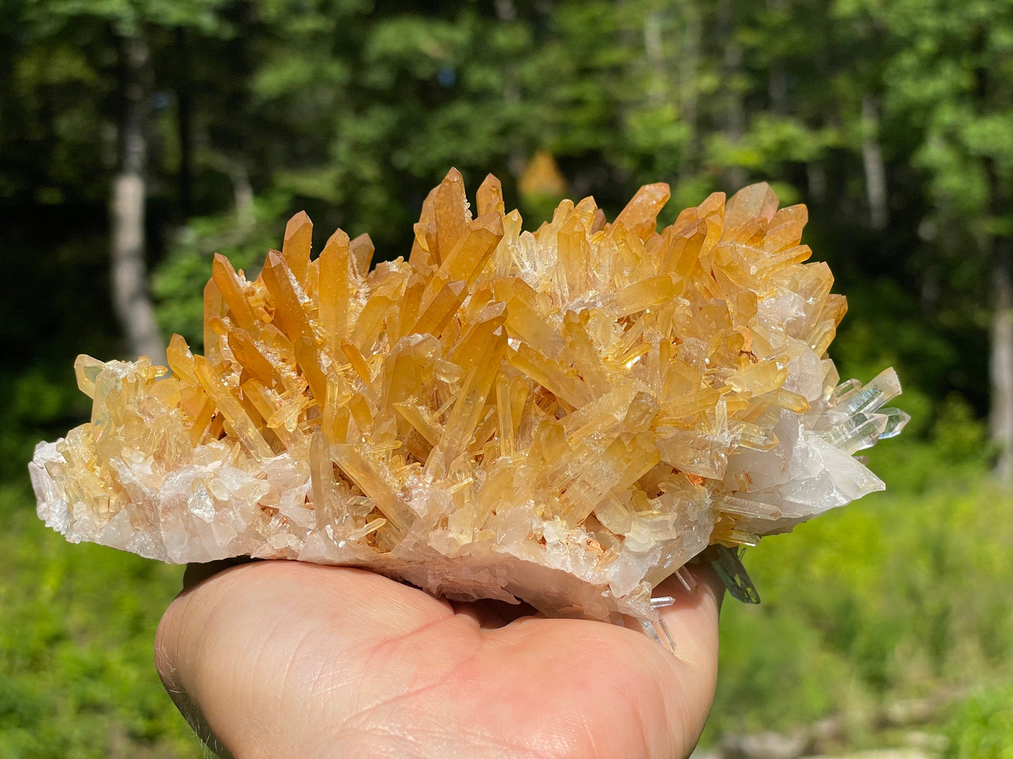 Golden Healer Quartz Crystal || Raw Quartz Cluster || Lemurian Quartz Cluster