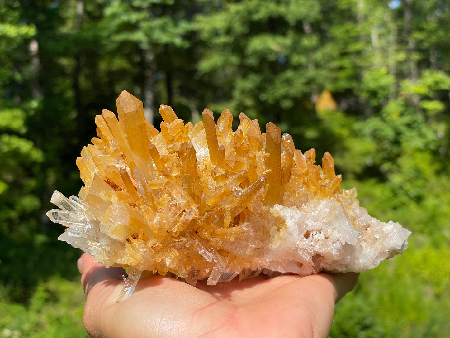 Golden Healer Quartz Crystal || Raw Quartz Cluster || Lemurian Quartz Cluster