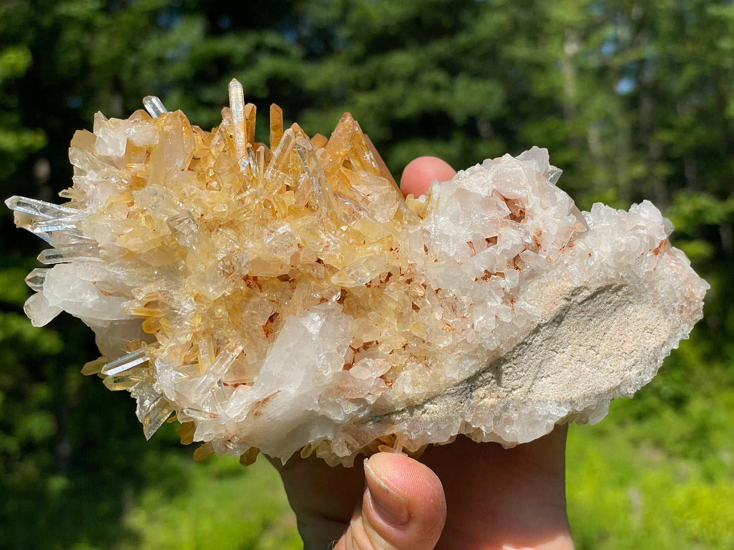 Golden Healer Quartz Crystal || Raw Quartz Cluster || Lemurian Quartz Cluster