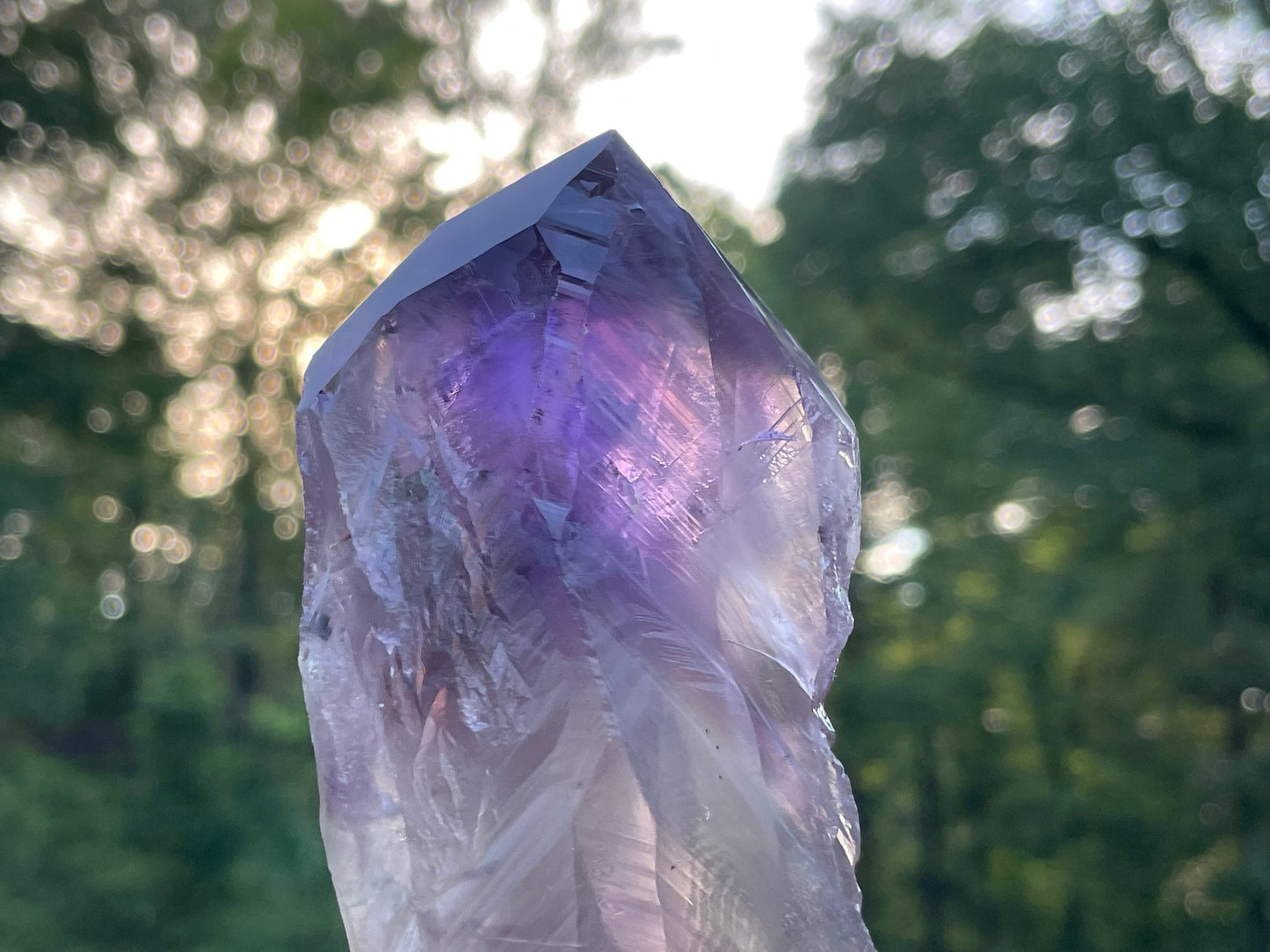 Amethyst Dragons Tooth || Bahia Amethyst Point || Amethyst Point with Root || Huge Amethyst Wand