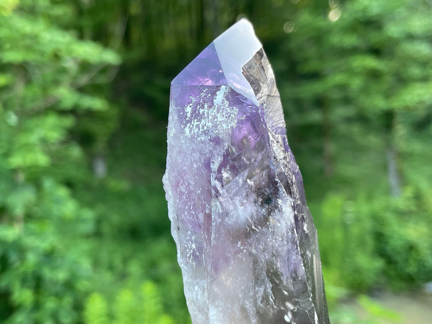 Amethyst Dragons Tooth || Bahia Amethyst Point || Amethyst Point with Root || Huge Amethyst Wand