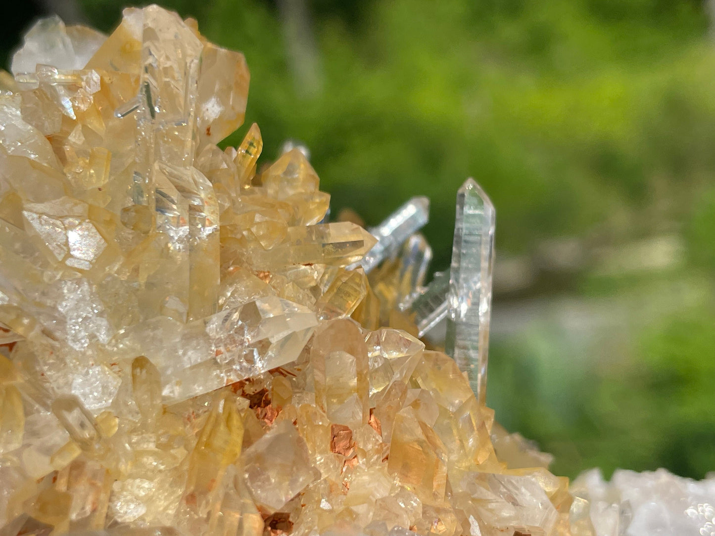 Golden Healer Quartz Crystal || Raw Quartz Cluster || Lemurian Quartz Cluster