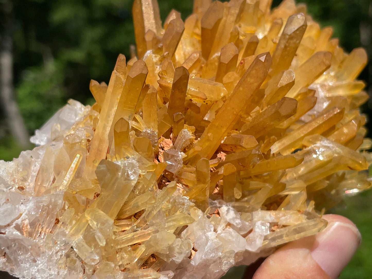 Golden Healer Quartz Crystal || Raw Quartz Cluster || Lemurian Quartz Cluster