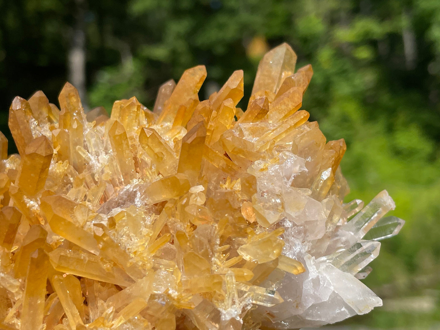 Golden Healer Quartz Crystal || Raw Quartz Cluster || Lemurian Quartz Cluster