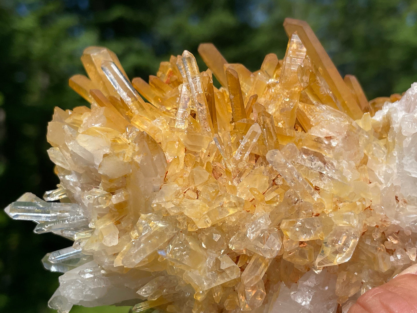 Golden Healer Quartz Crystal || Raw Quartz Cluster || Lemurian Quartz Cluster