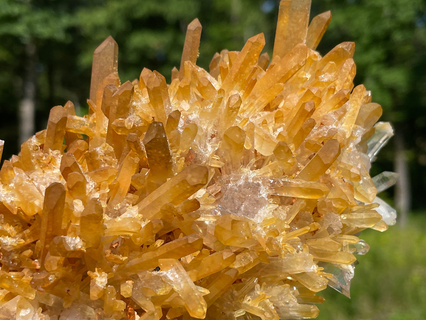 Golden Healer Quartz Crystal || Raw Quartz Cluster || Lemurian Quartz Cluster