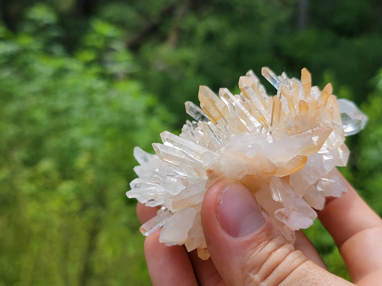 Clear Quartz Crystal Cluster || Raw Quartz Cluster || Lemurian Quartz Crystal Plate