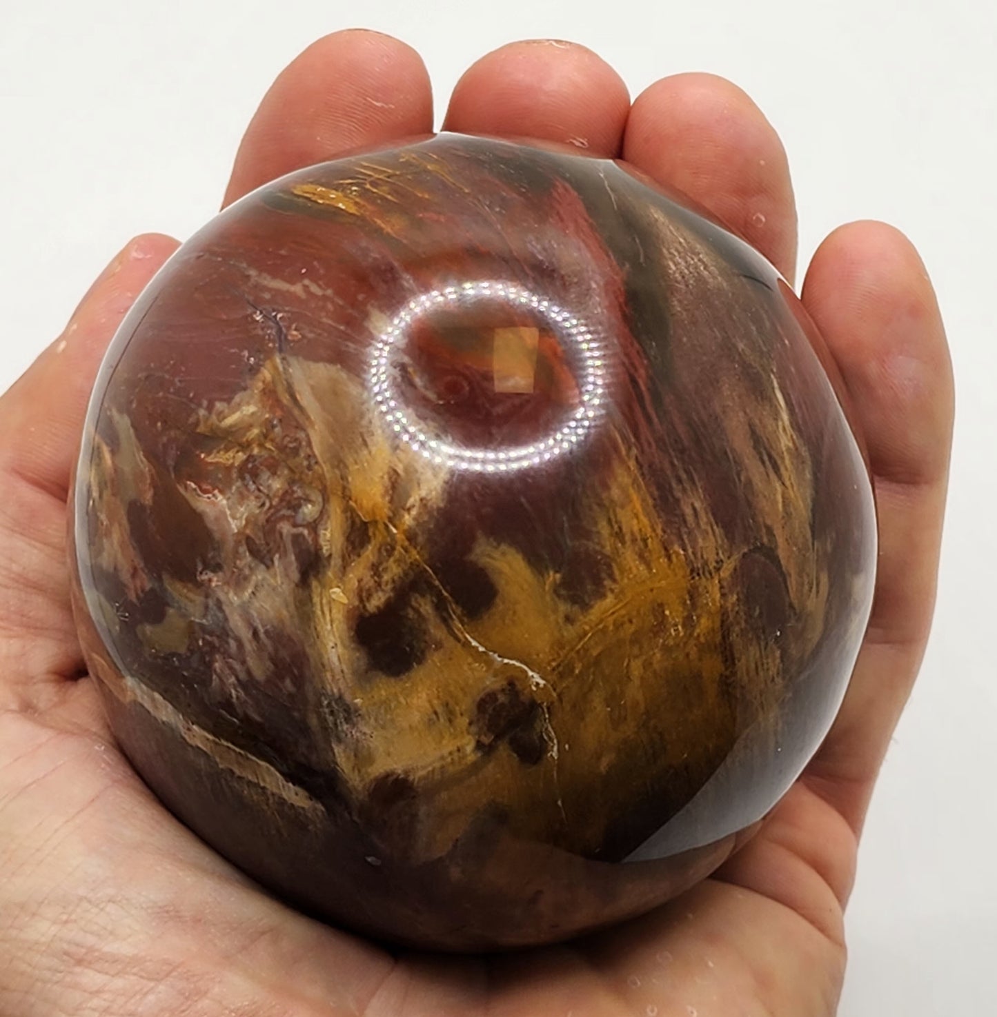 Petrified Wood Sphere || Red Petrified Wood || Polished Petrified Wood Sphere
