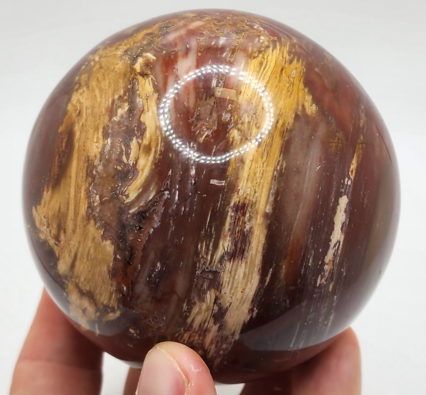 Petrified Wood Sphere || Red Petrified Wood || Polished Petrified Wood Sphere