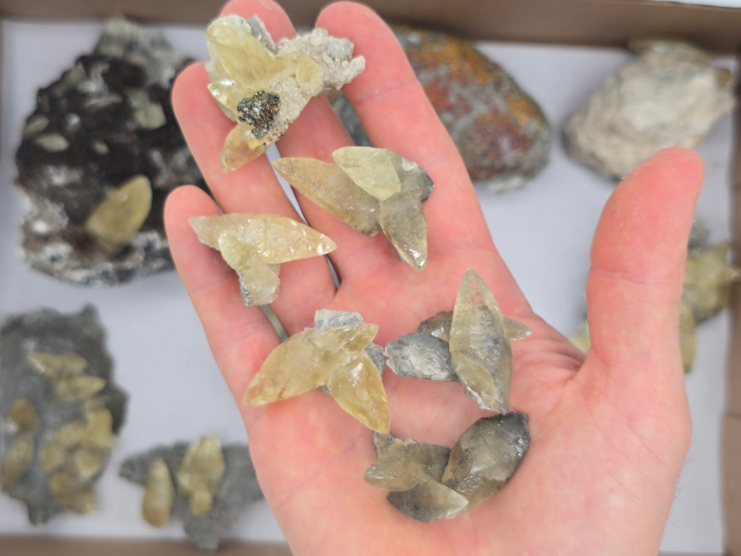 Sweetwater Calcite Flat #2