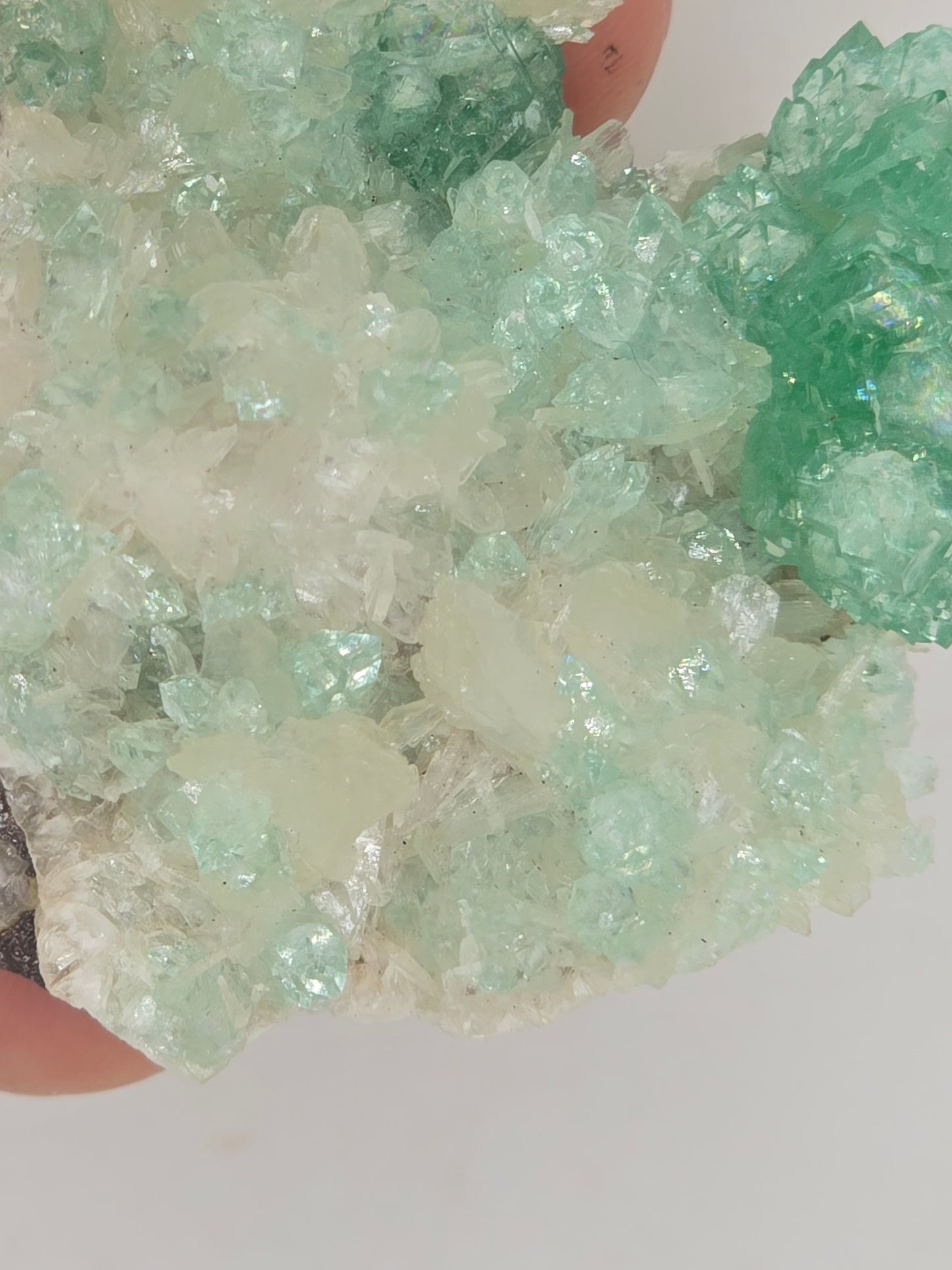 Green Apophyllite Cluster || #108