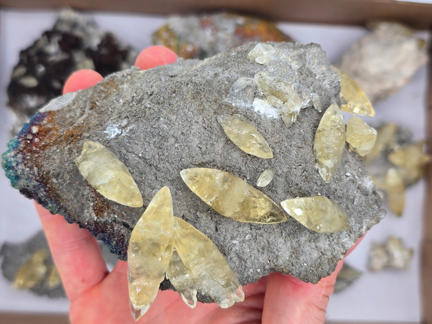 Sweetwater Calcite Flat #2