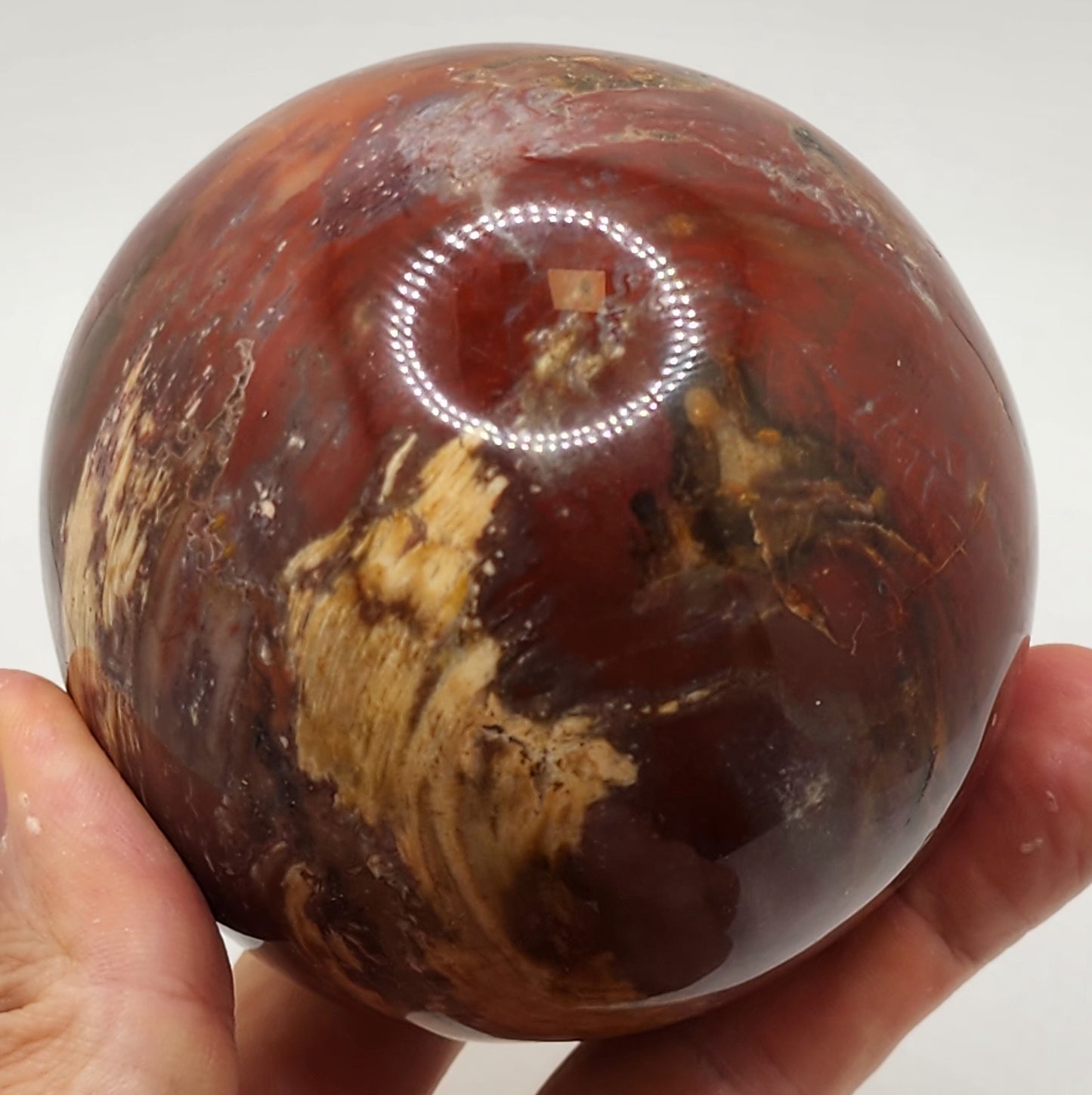 Petrified Wood Sphere || Red Petrified Wood || Polished Petrified Wood Sphere