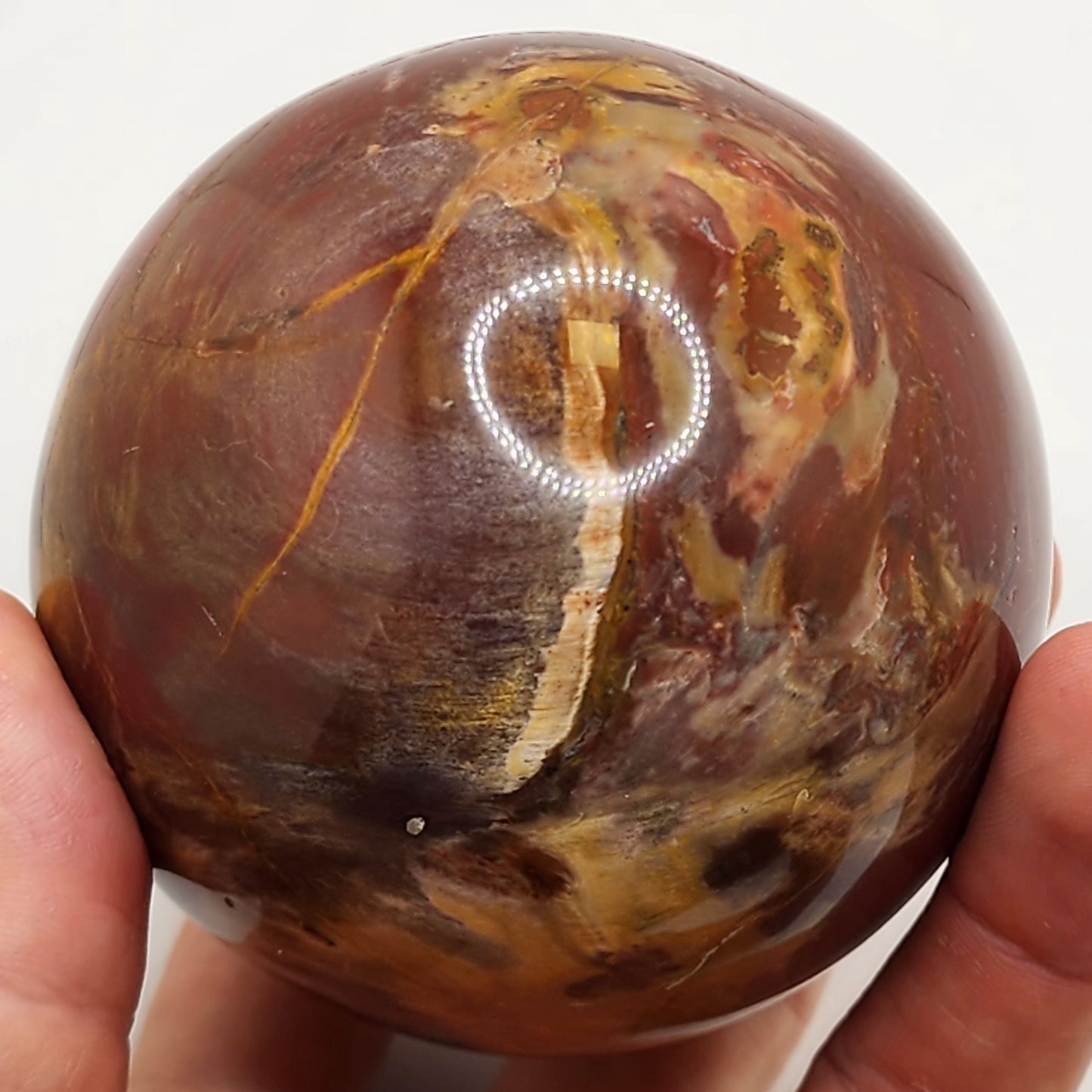 Petrified Wood Sphere || Red Petrified Wood || Polished Petrified Wood Sphere