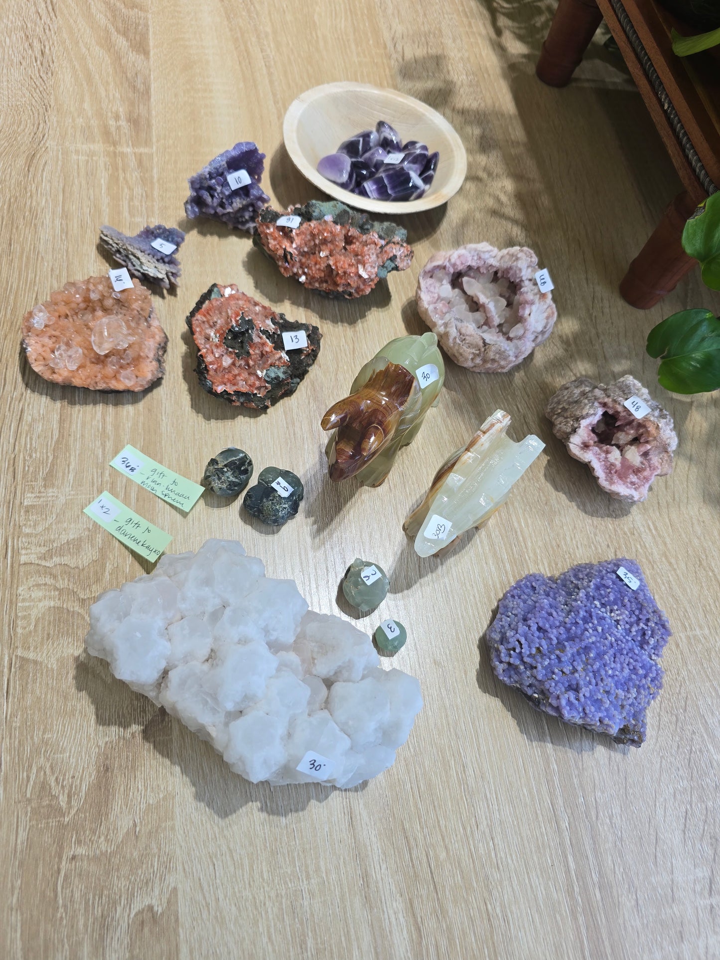 Paleo_mom_lfaw 8/12 live sale